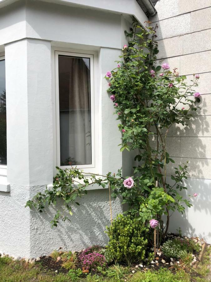 Gestorfer Koetnerhof Business Und Landlust Lejlighed Springe Eksteriør billede
